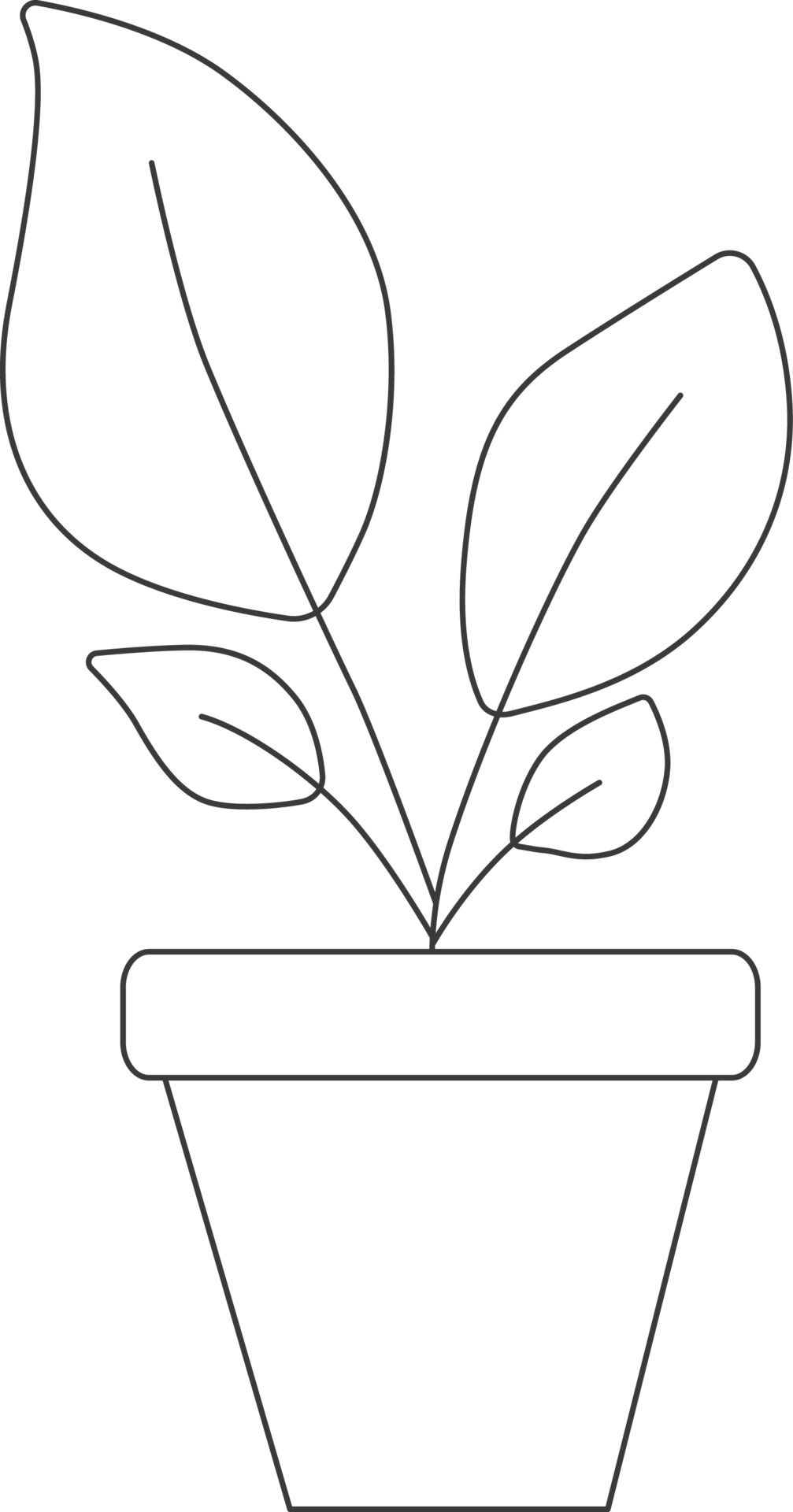 Free plantas en macetas de estilo minimalista, dibujo para colorear. 15735867 PNG with Transparent Background Free plantas en macetas de estilo minimalista, dibujo para colorear. 15735867 PNG with Transparent Background