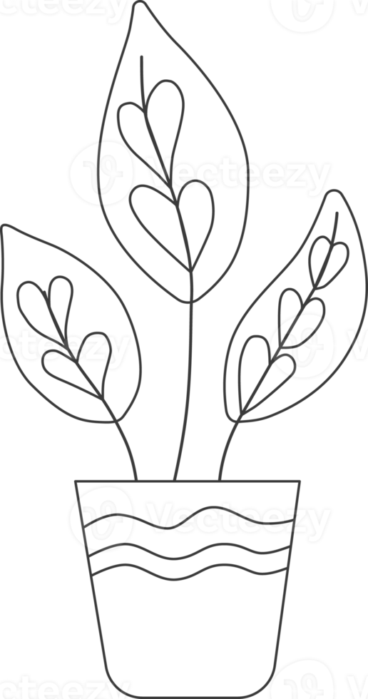 Hand drawn Plants, drawing for coloring. png