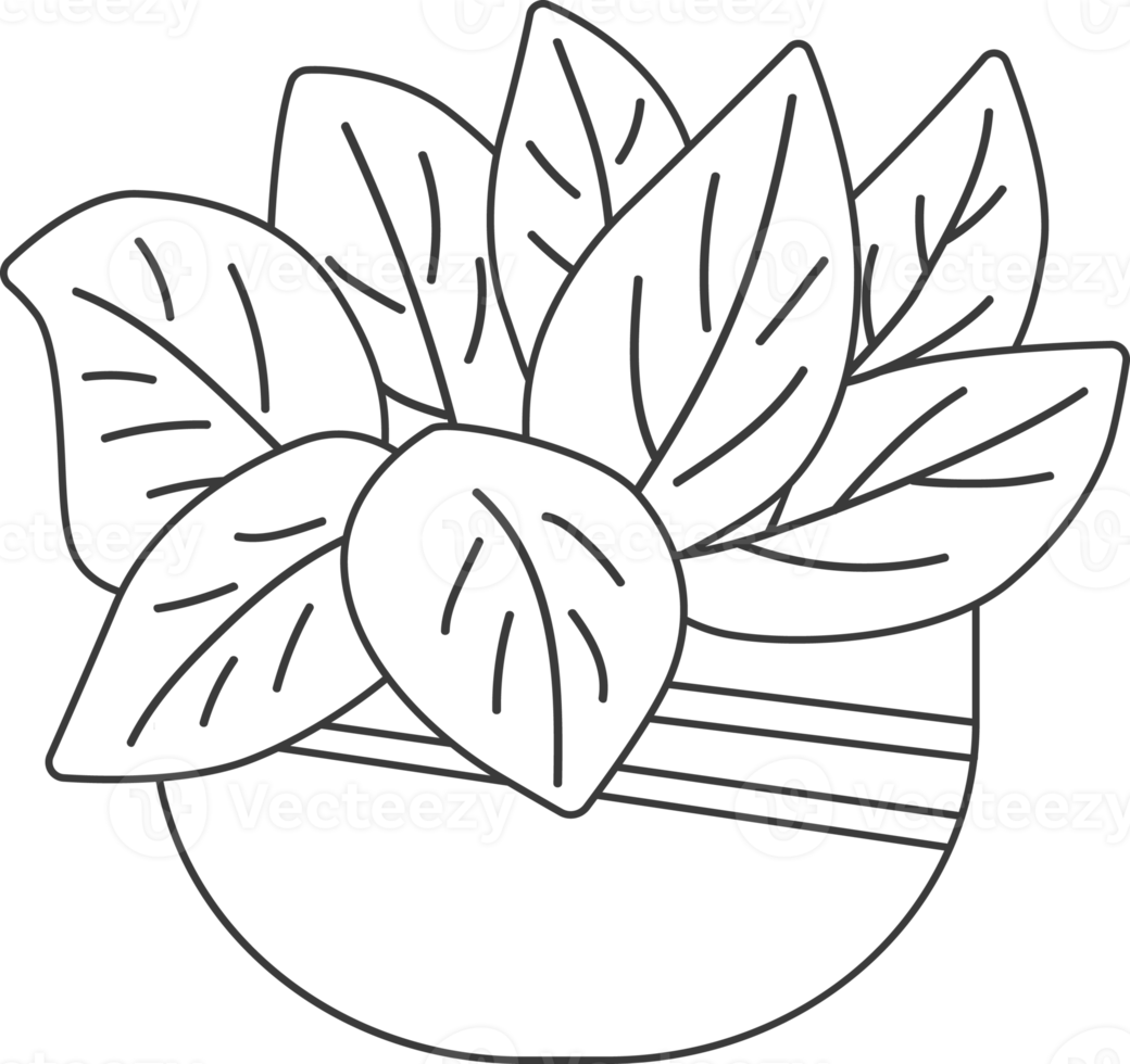Minimal style potted plants, drawing for coloring. png