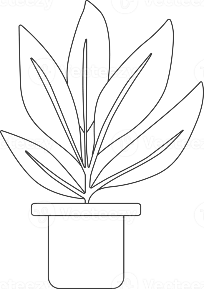 Free plantas en macetas, dibujo para colorear. 15735871 PNG with Transparent Background Free plantas en macetas, dibujo para colorear. 15735871 PNG with Transparent Background