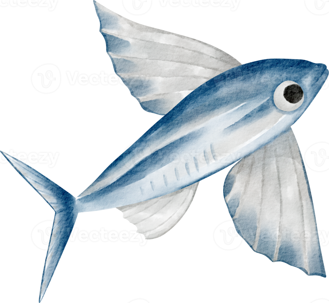 clipart de poisson de mer aquarelle png