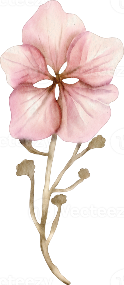 waterverf bloemen klem kunst element png