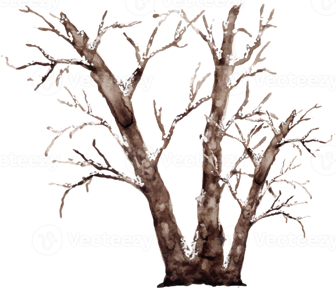 vattenfärg vinter- träd landskap png