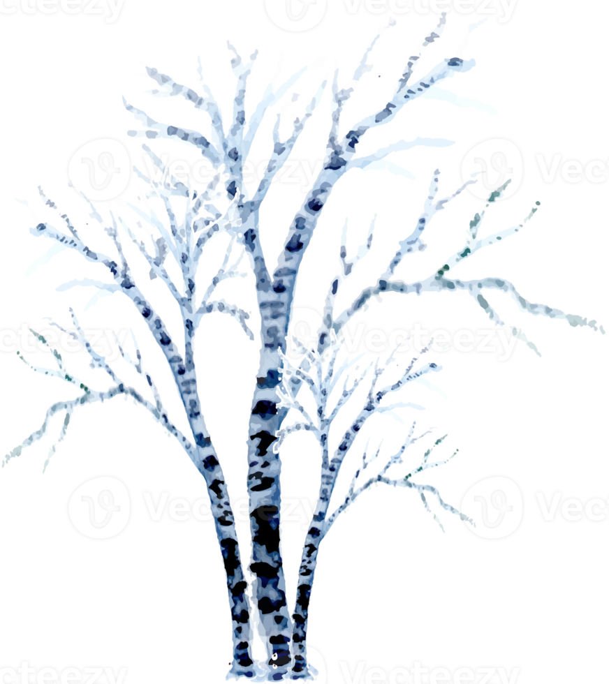 vattenfärg vinter- träd landskap png