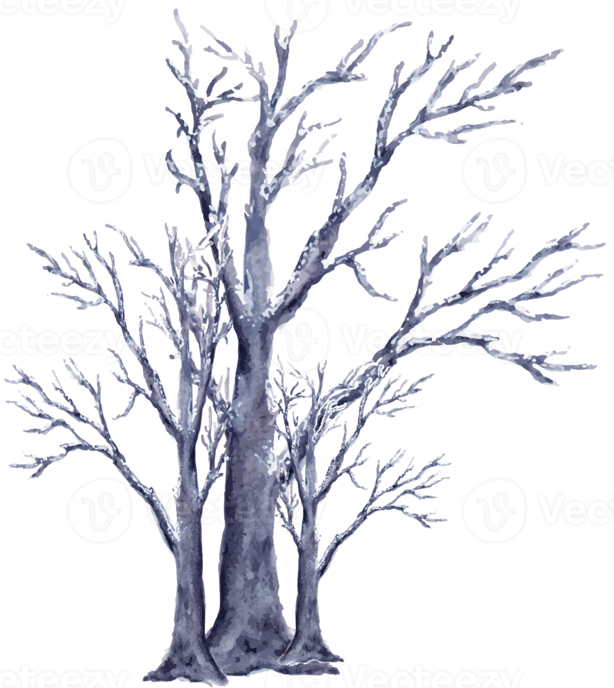 waterverf winter boom landschap png