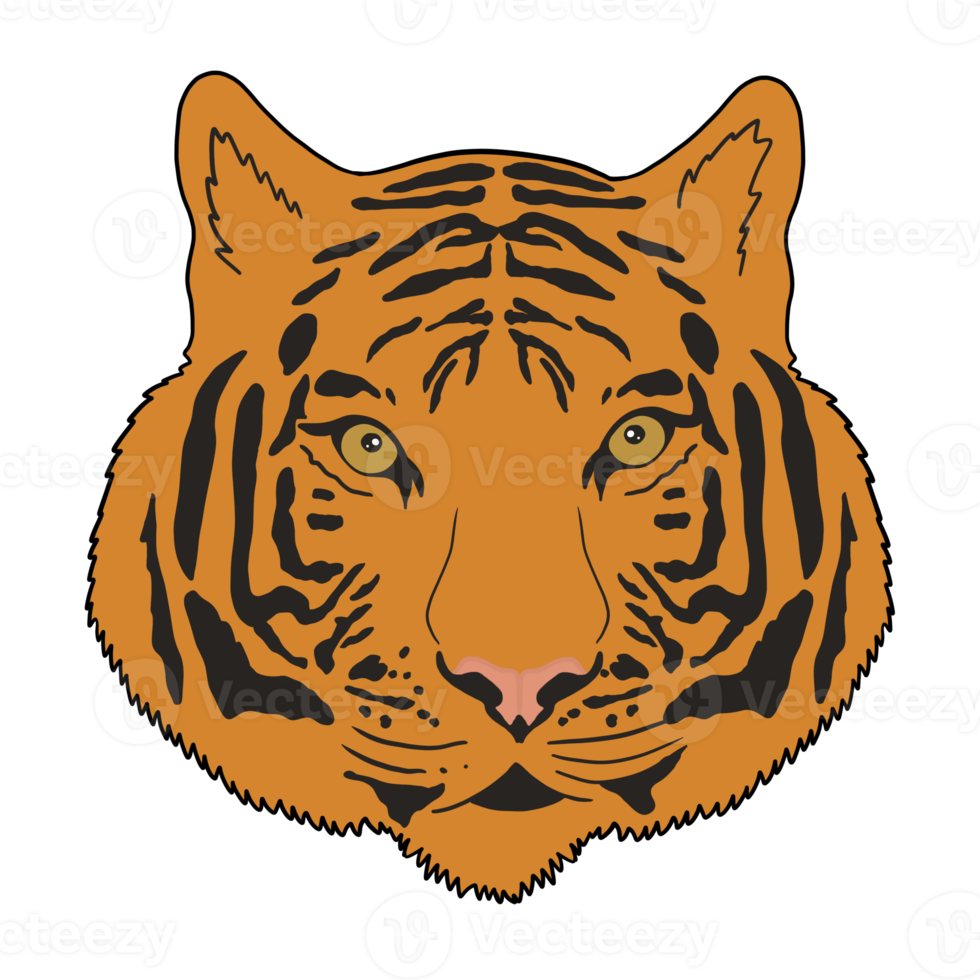 Cute Tiger Face png