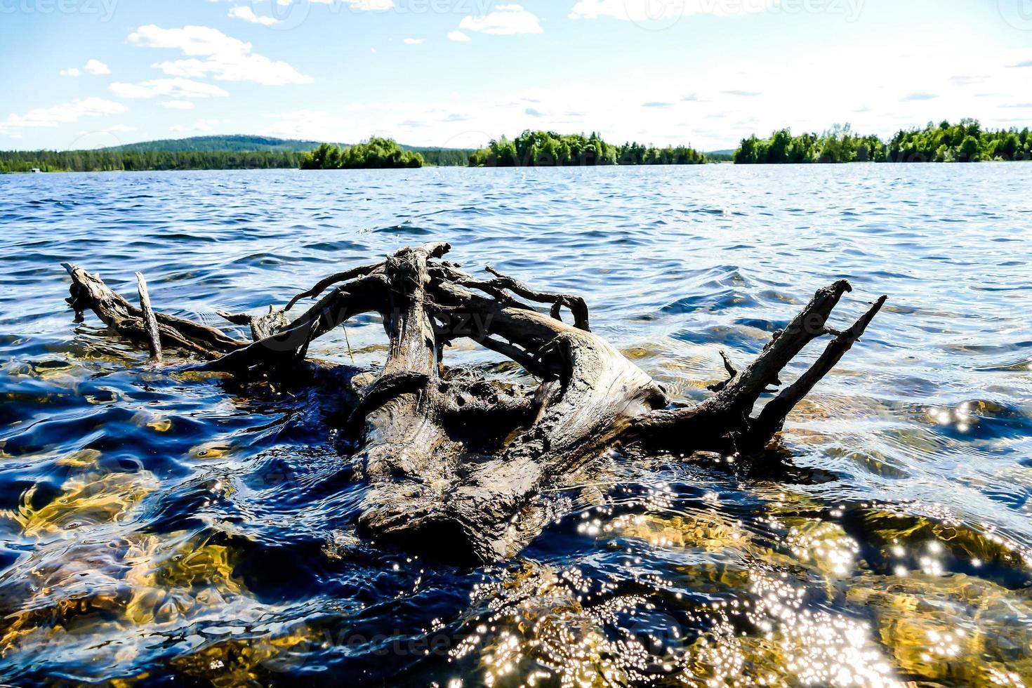 Landscape in Sweden, Europe photo