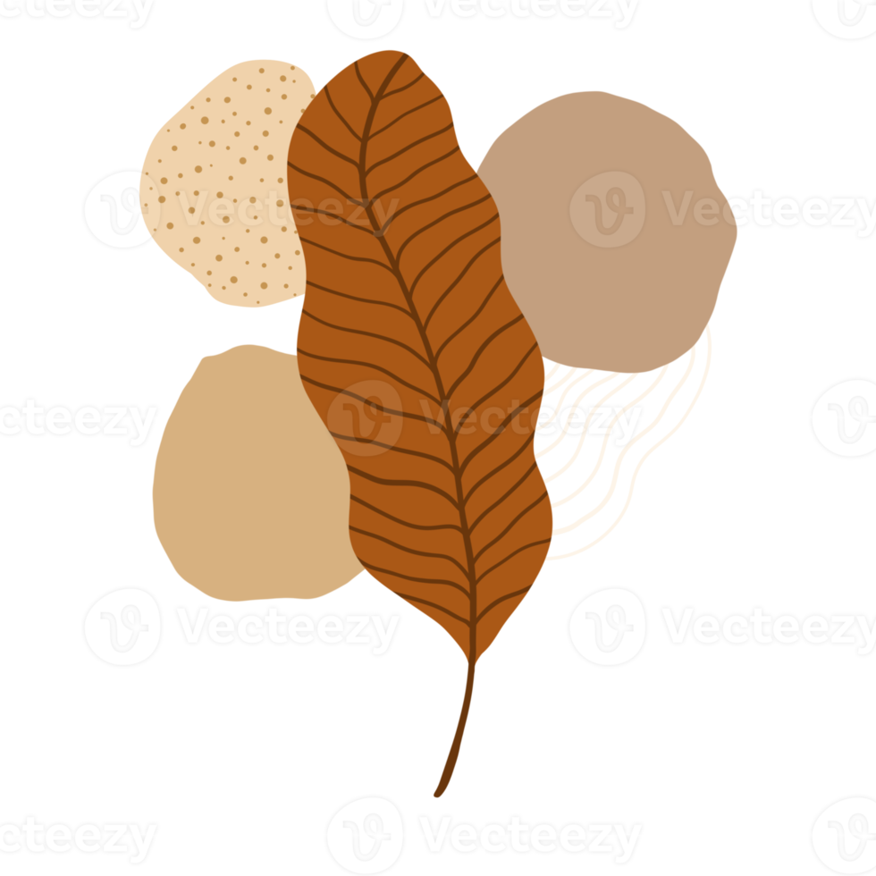 Autumn leaves illustration. Boho Aesthetic. Minimalist Style. png