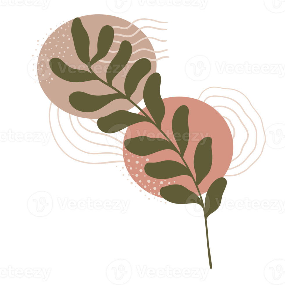 estetico foglia pianta con astratto forme. minimalista stile. natura. png