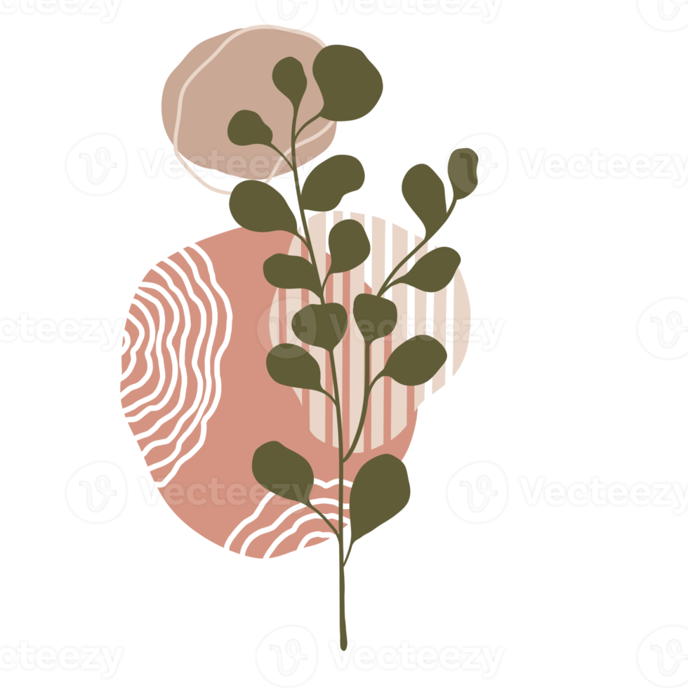 planta de hoja estética con formas abstractas. estilo minimalista. naturaleza. png