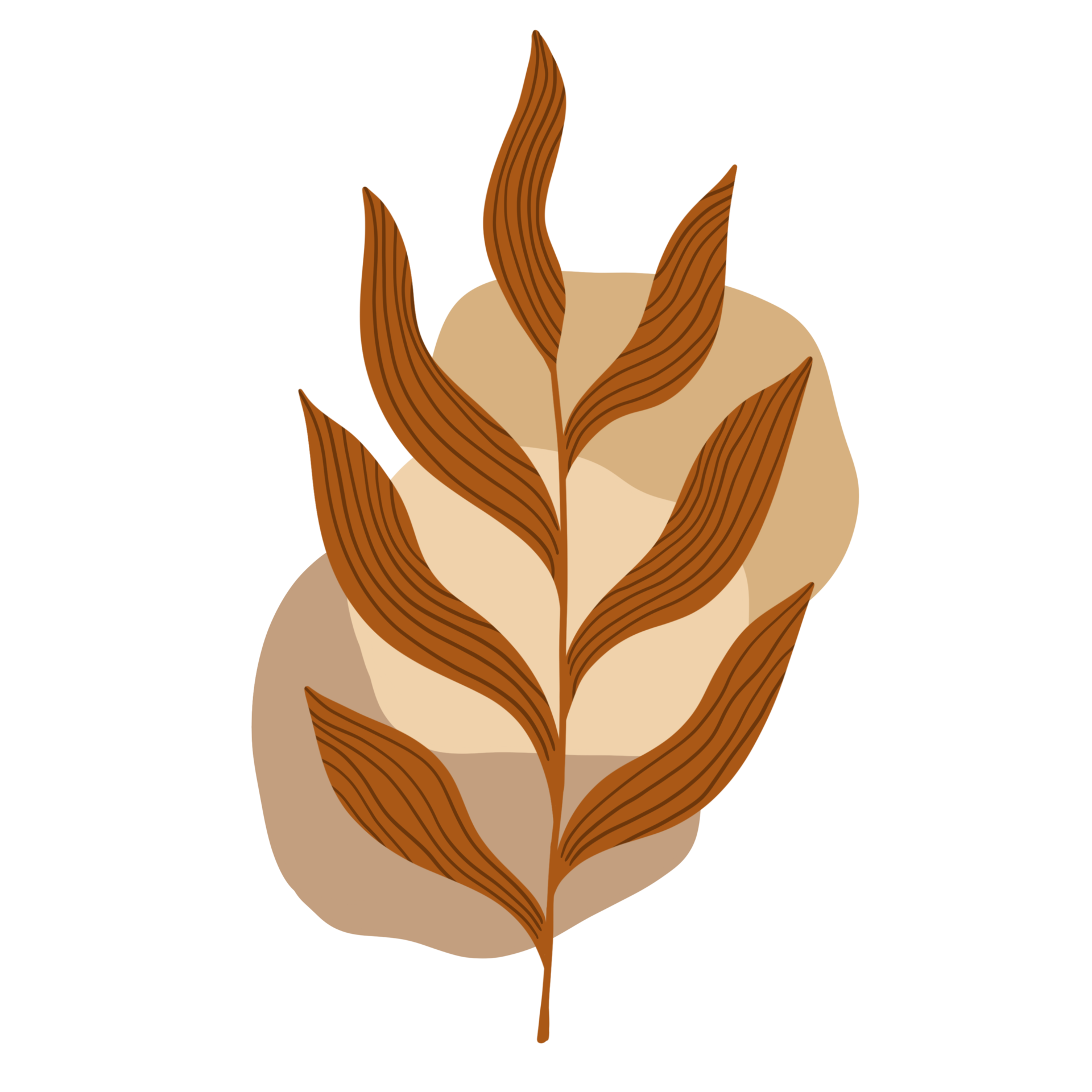 Autumn leaves illustration. Boho Aesthetic. Minimalist Style. 15736619 PNG