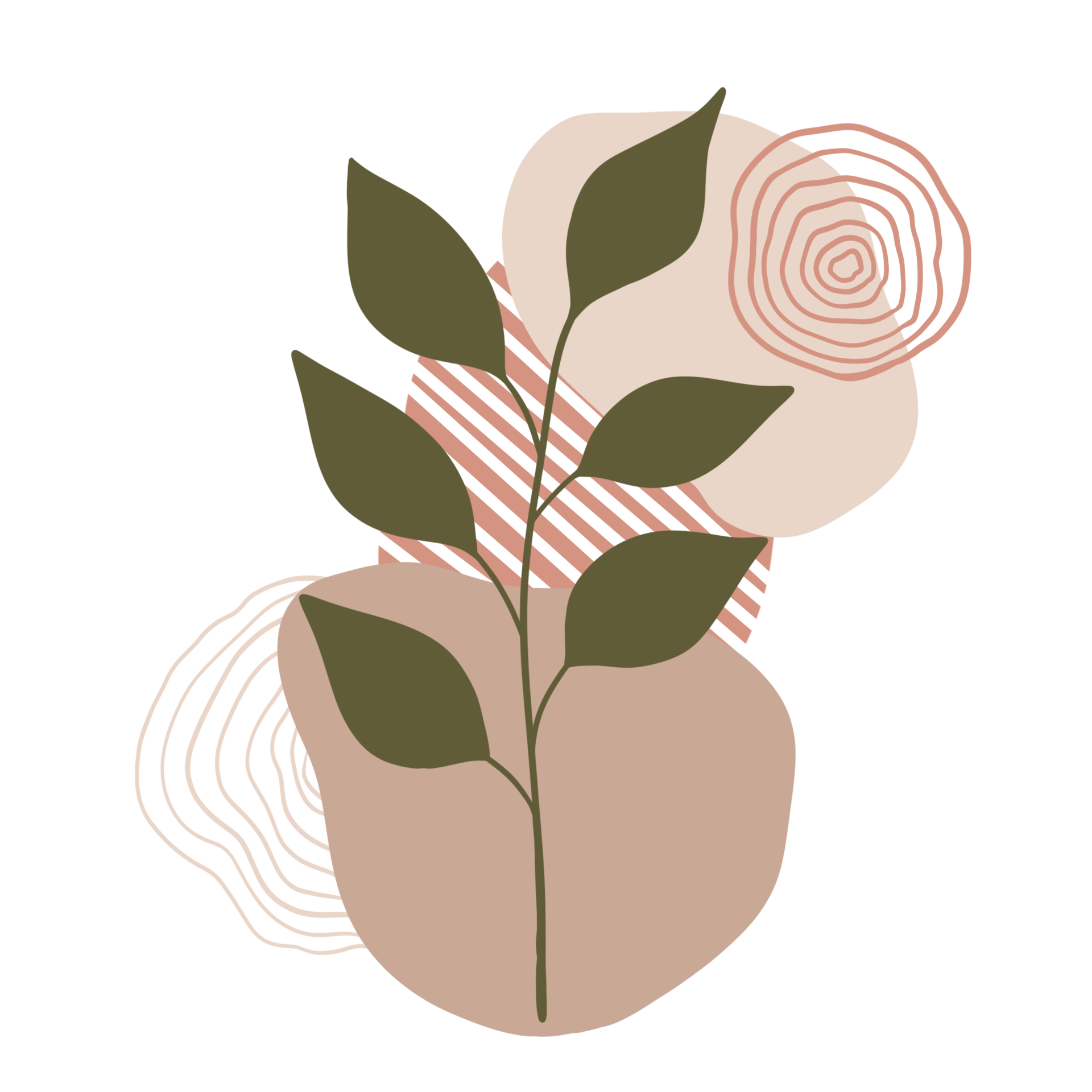 aesthetic-leaf-plant-with-abstract-shapes-minimalist-style-nature