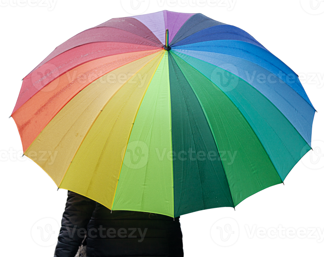 Woman holding with a multicolored umbrella under the rain png