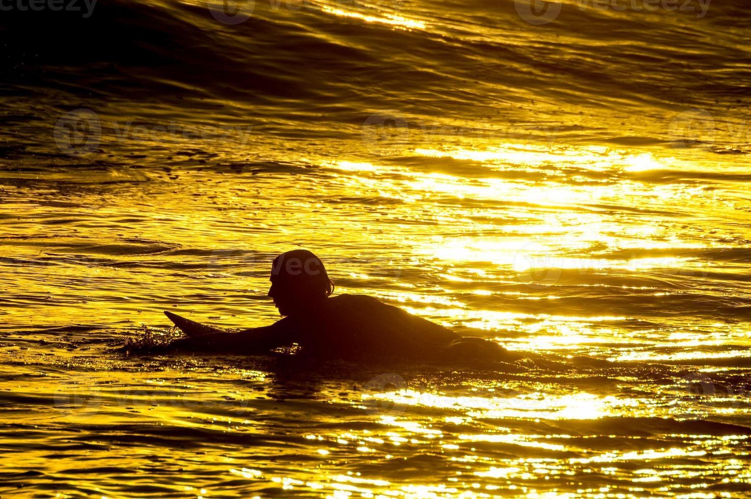 Silhouette Surfer at Sunset photo