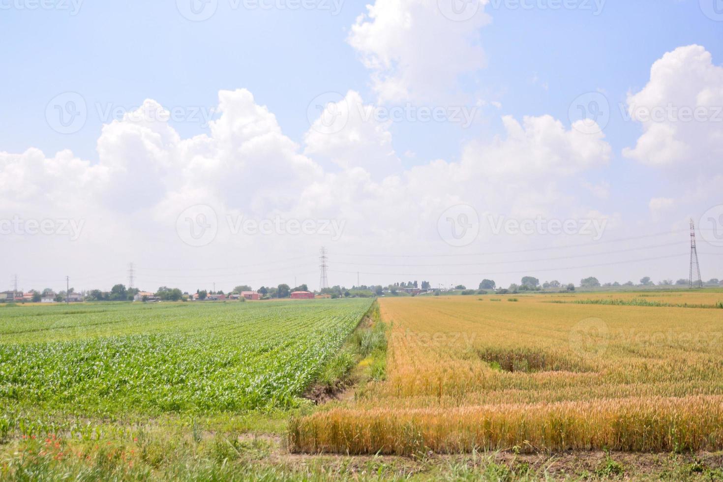 paisaje en verano foto