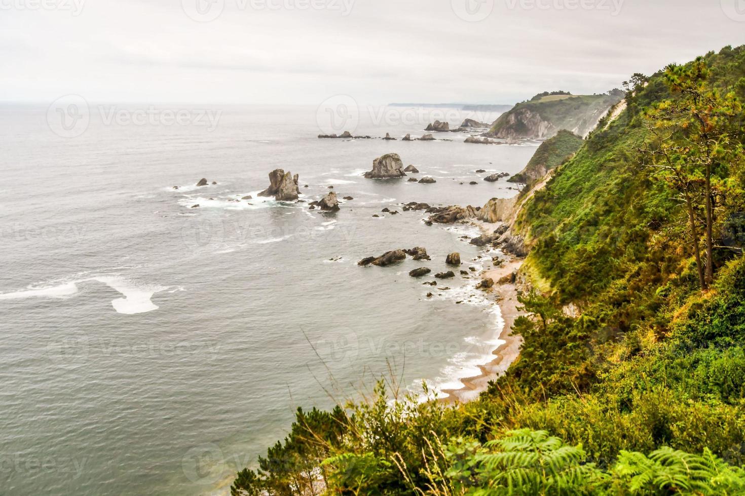 Seascape in summer photo