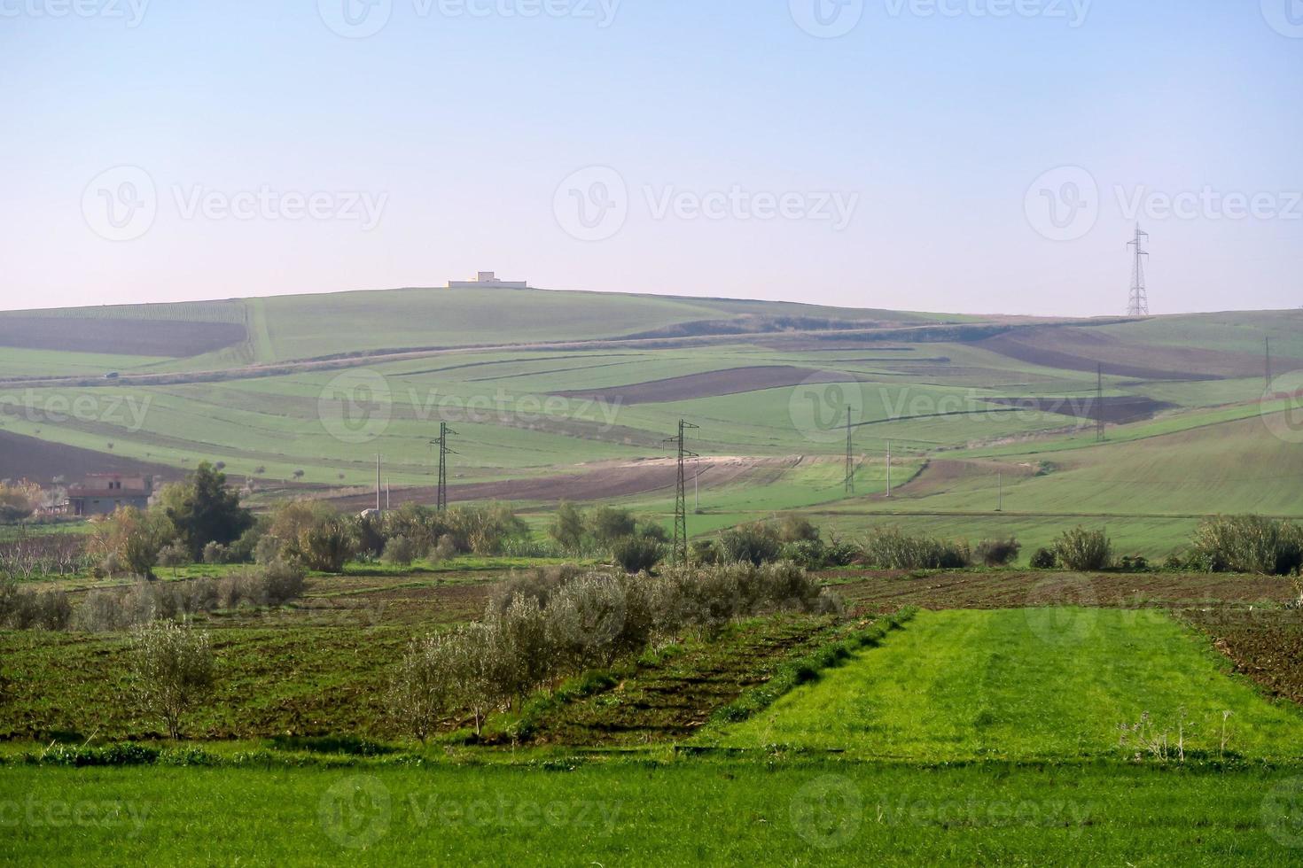 Landscape in summer photo