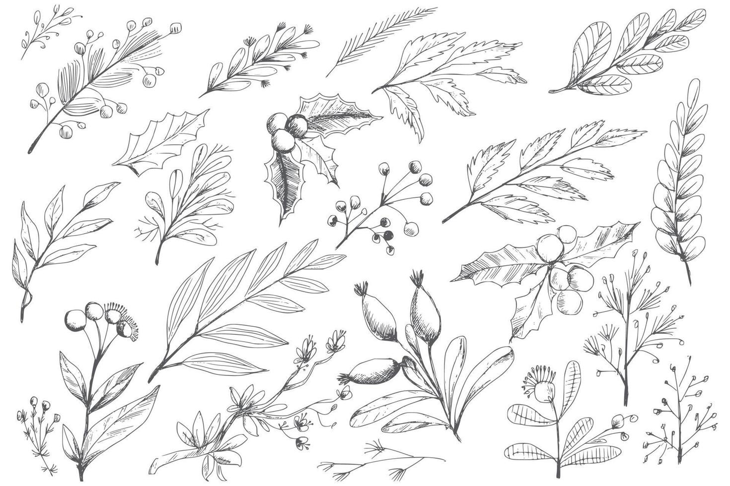 Beautiful decorative christmas elements leaf sketch set background vector