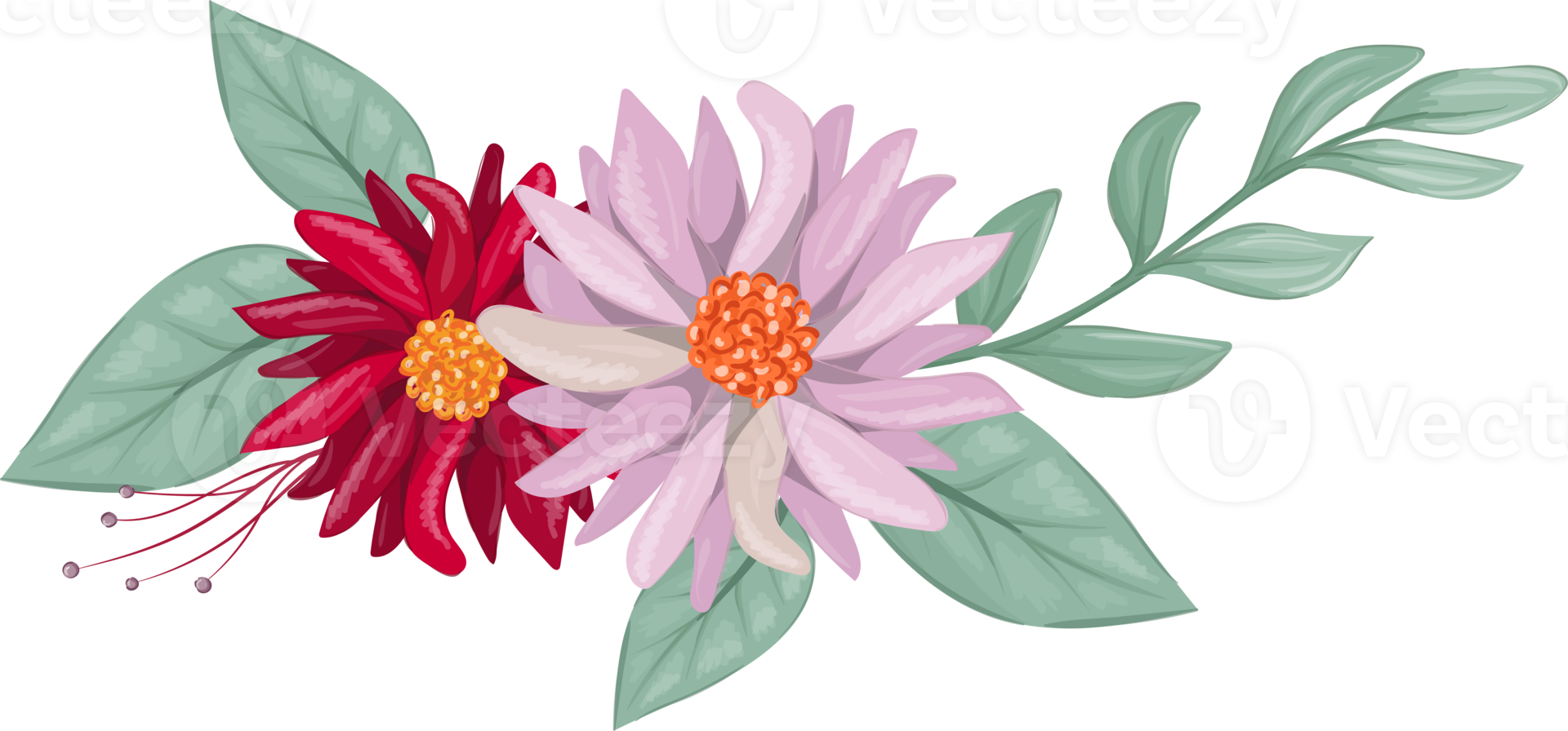 Red Flower Arrangement with watercolor style png