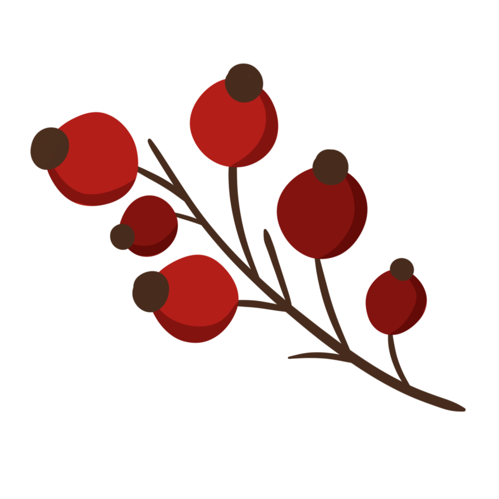 höst blomma illustration png