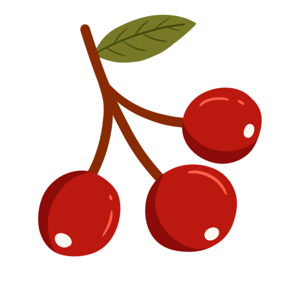 ilustración de fruta de otoño png