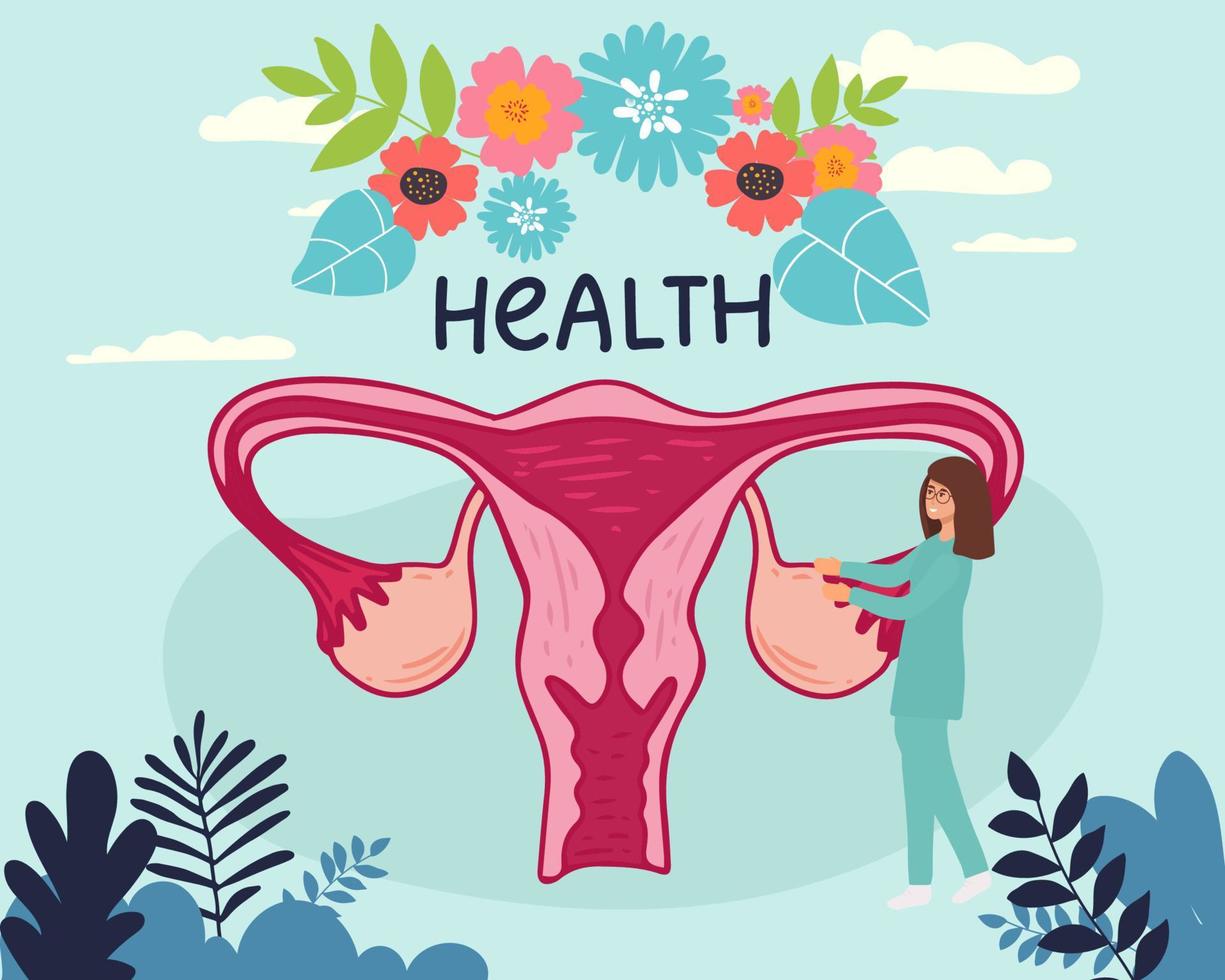 ciclo menstrual femenino. doctora que sigue el ciclo menstrual. ilustración vectorial del sistema reproductor femenino. vector