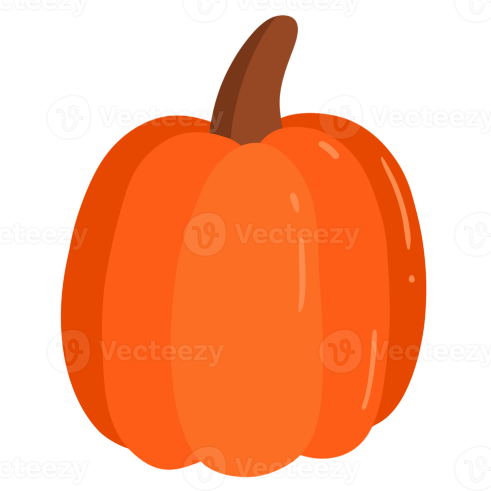 Pumpkin Hand Drawn png