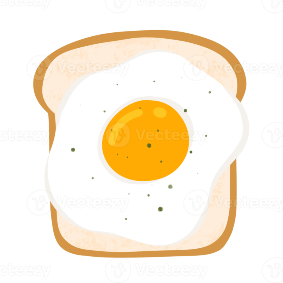 Bread and Egg Illustration png