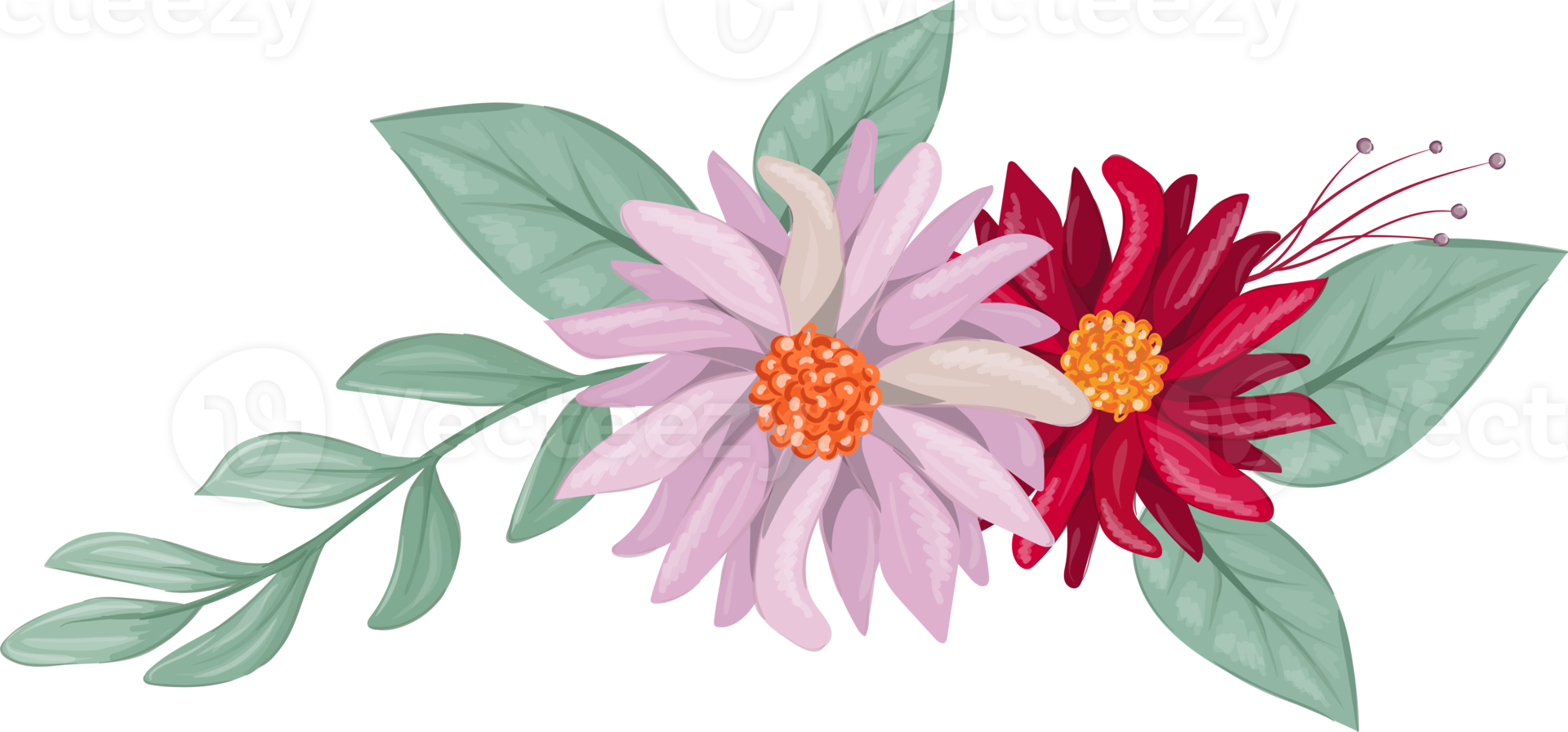 Red Flower Arrangement with watercolor style png