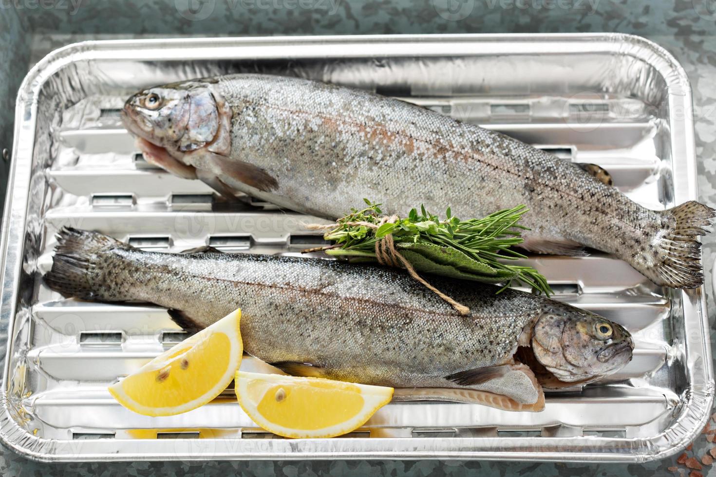 Rainbow trout ready to be grilled photo