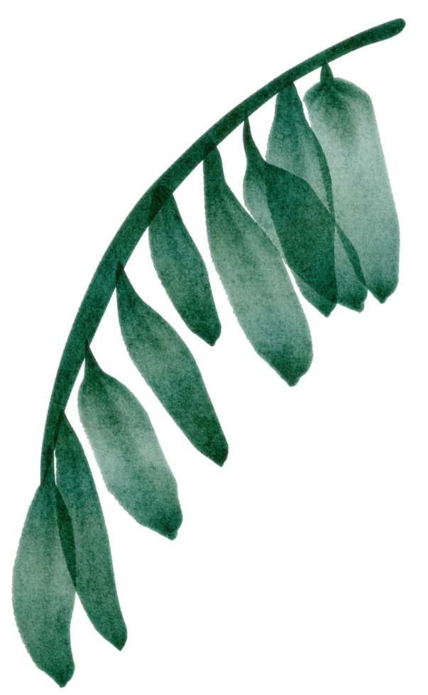 green leaves on watercolor png