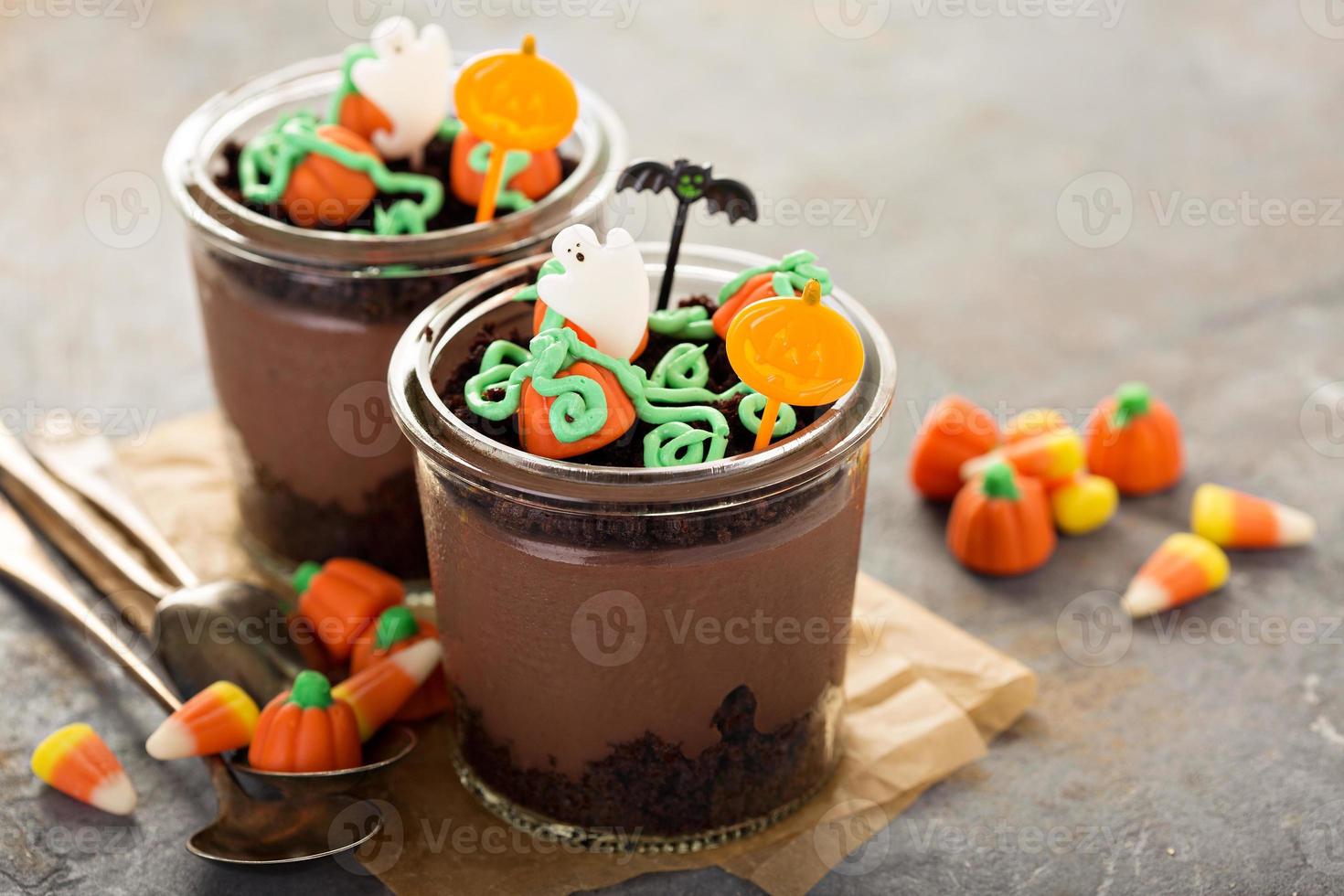 Pumpkin chocolate puddings photo