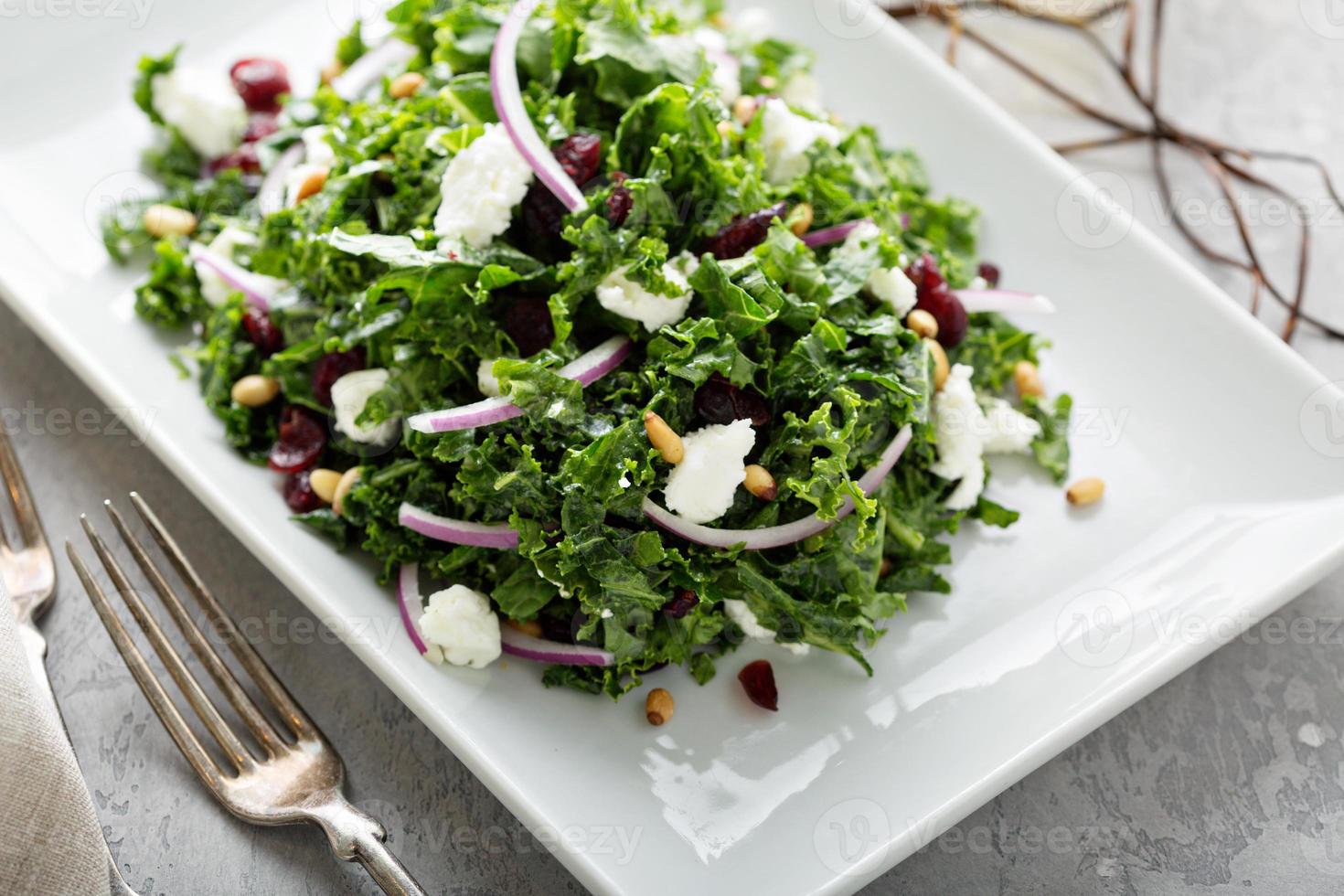 Kale salad with cranberry and feta photo