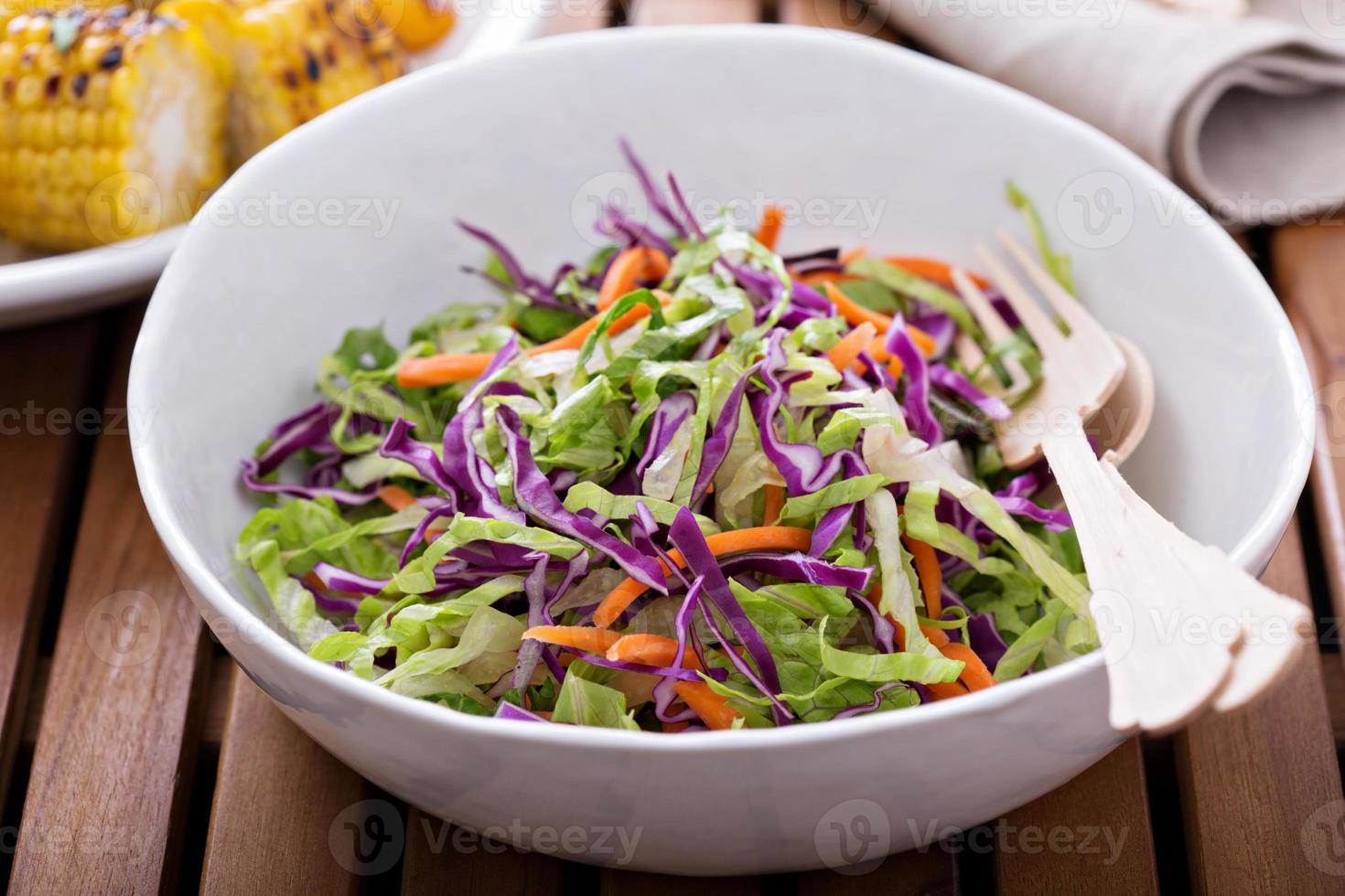 Cole slaw salad for an outdoor picnic photo