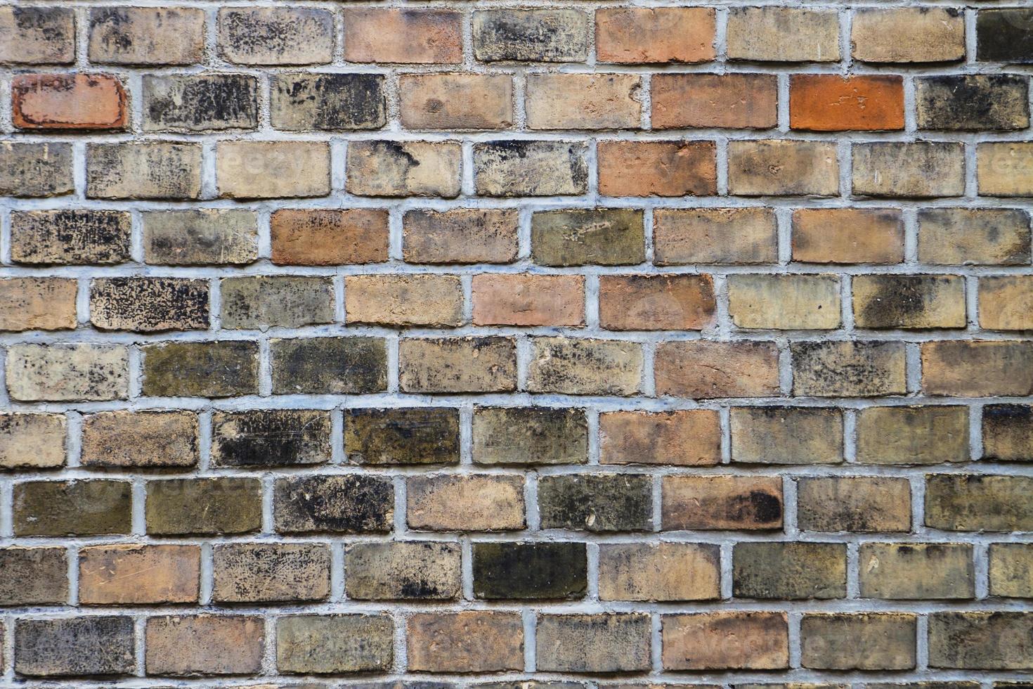 Brick wall backdrop photo