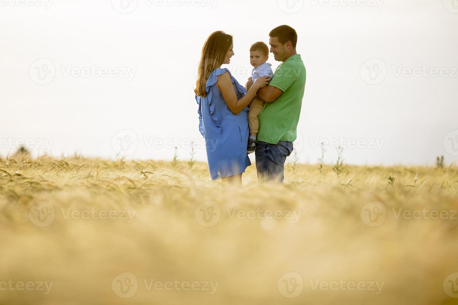 Young family with cute little boy having fun outdoors in the field photo