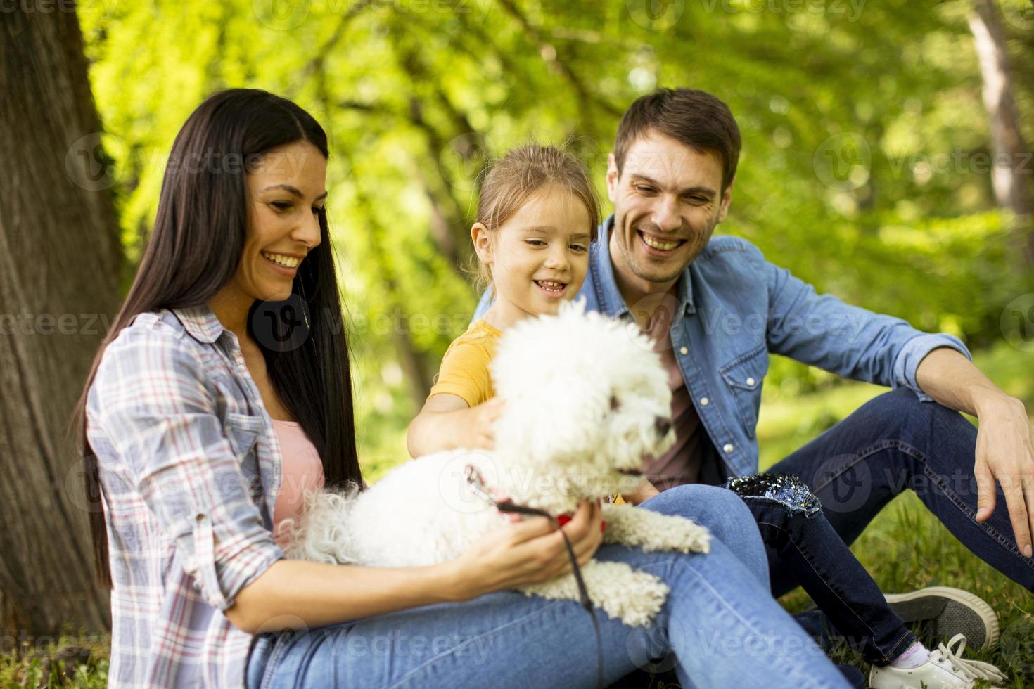 Beautiful happy family is having fun with bichon dog outdoors photo