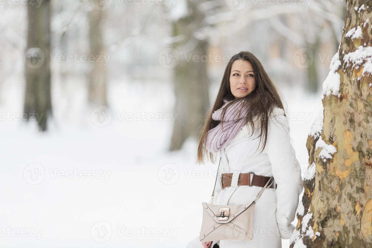 Young woman at winter photo