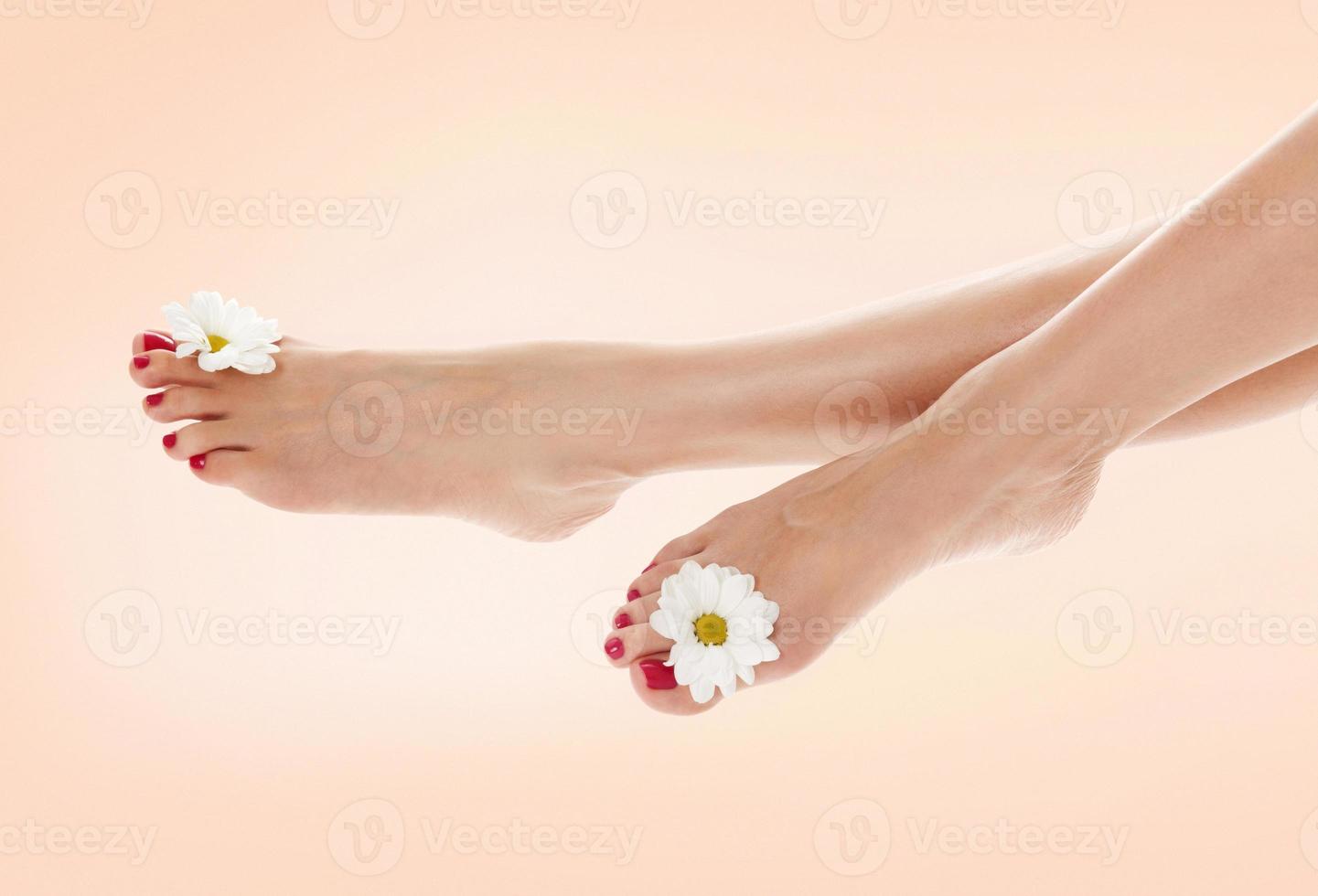 Beautiful female legs with daisy flower photo