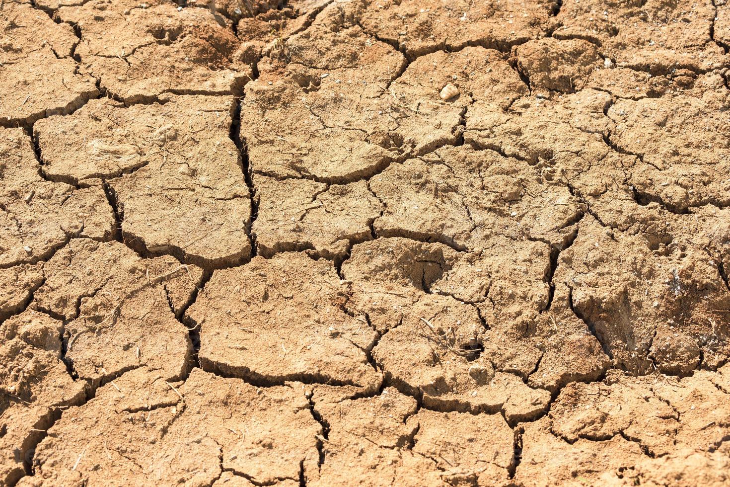 textura de una superficie agrietada de un suelo foto