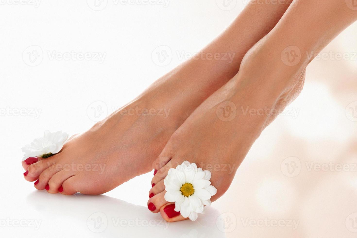 hermosas piernas femeninas con flor de margarita sobre un fondo borroso abstracto. foto