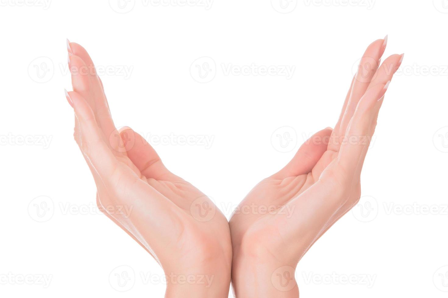 woman hands isolated on white background photo
