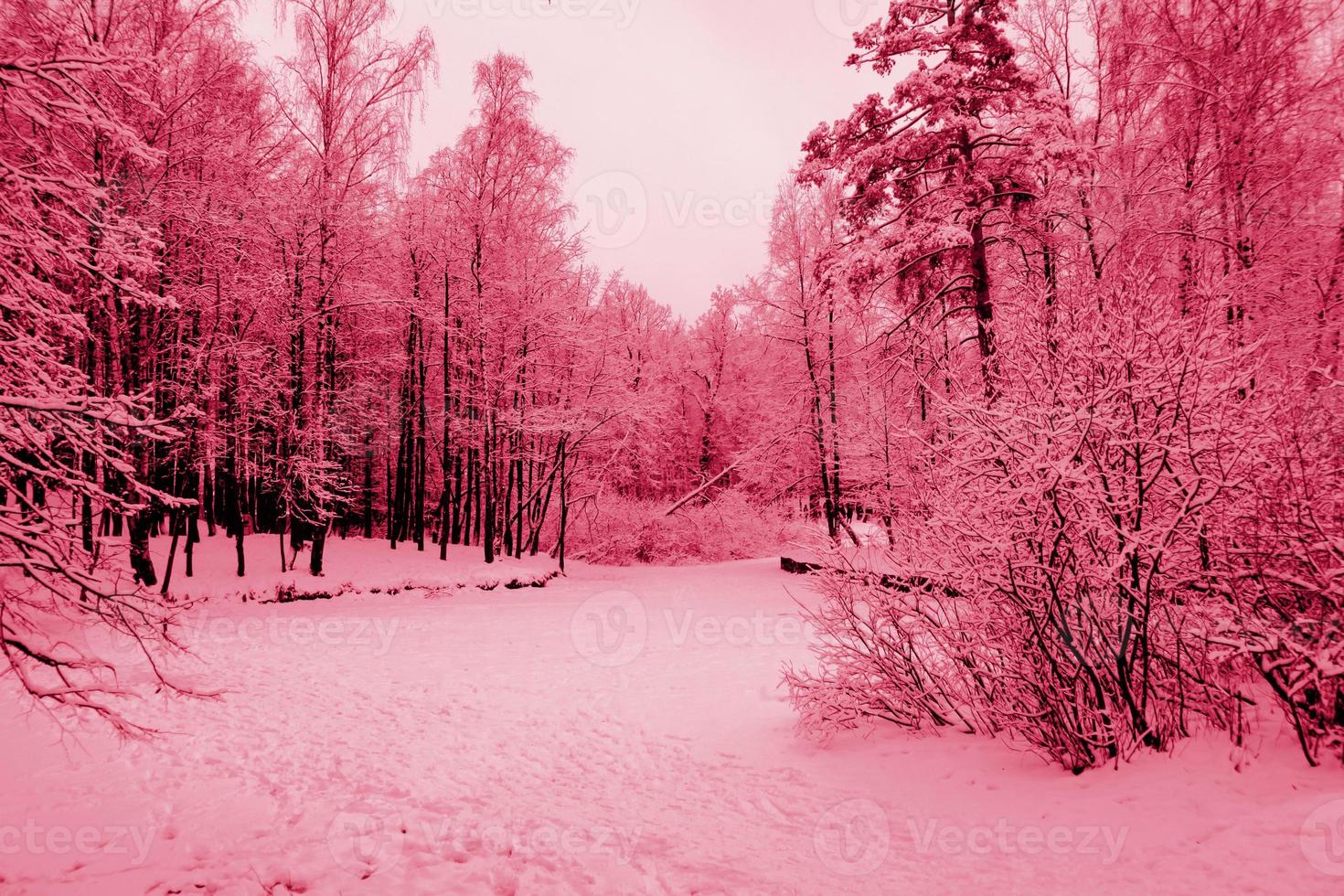 snow-coloring-stock-photos-images-and-backgrounds-for-free-download