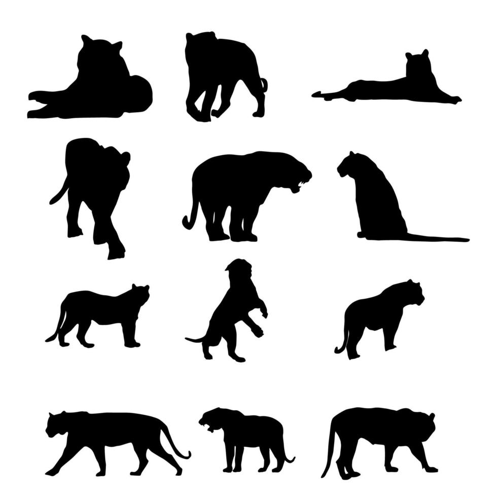 vector collection of tiger animal silhouettes in various styles