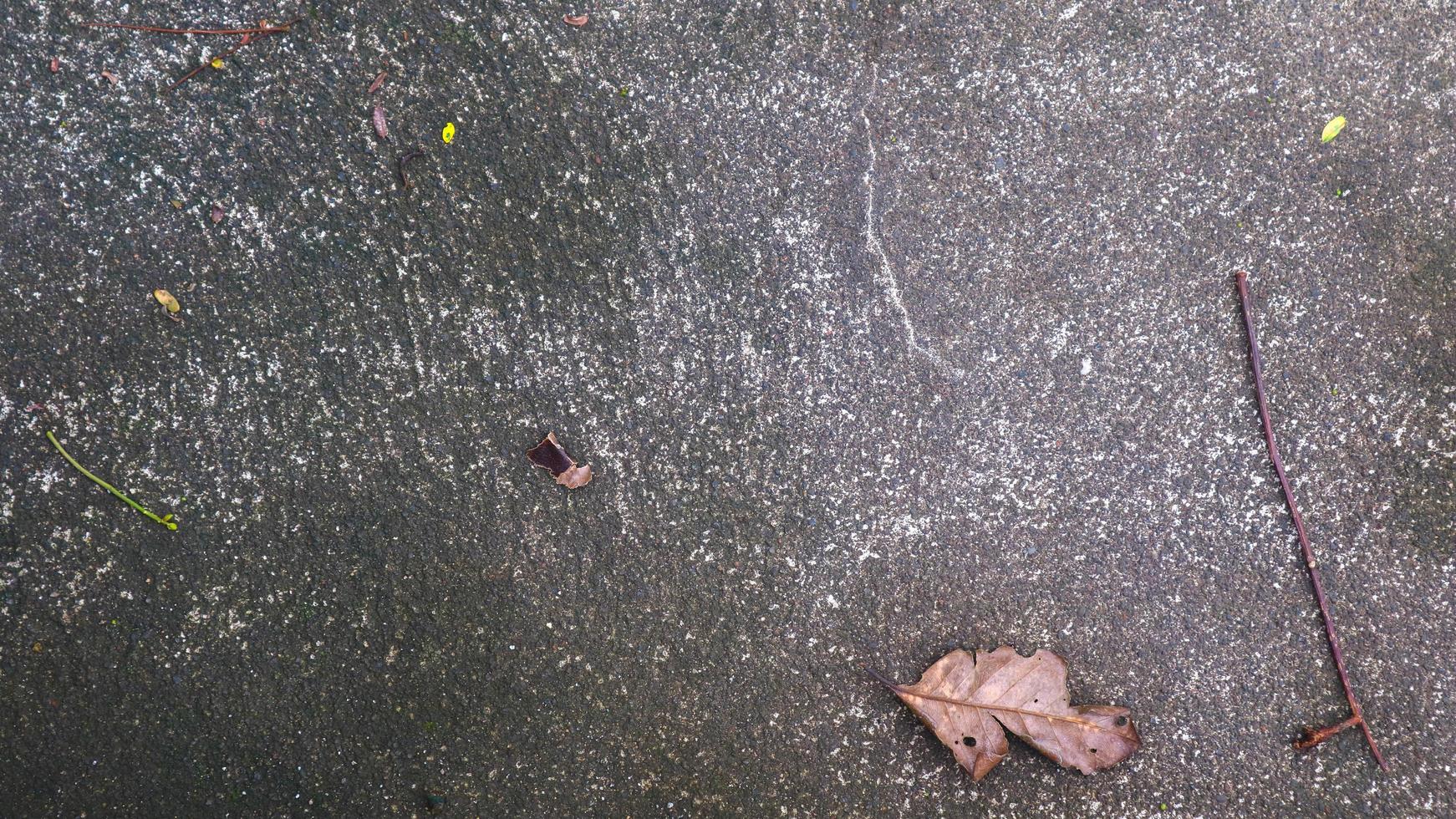concrete street texture with dry leaves photo