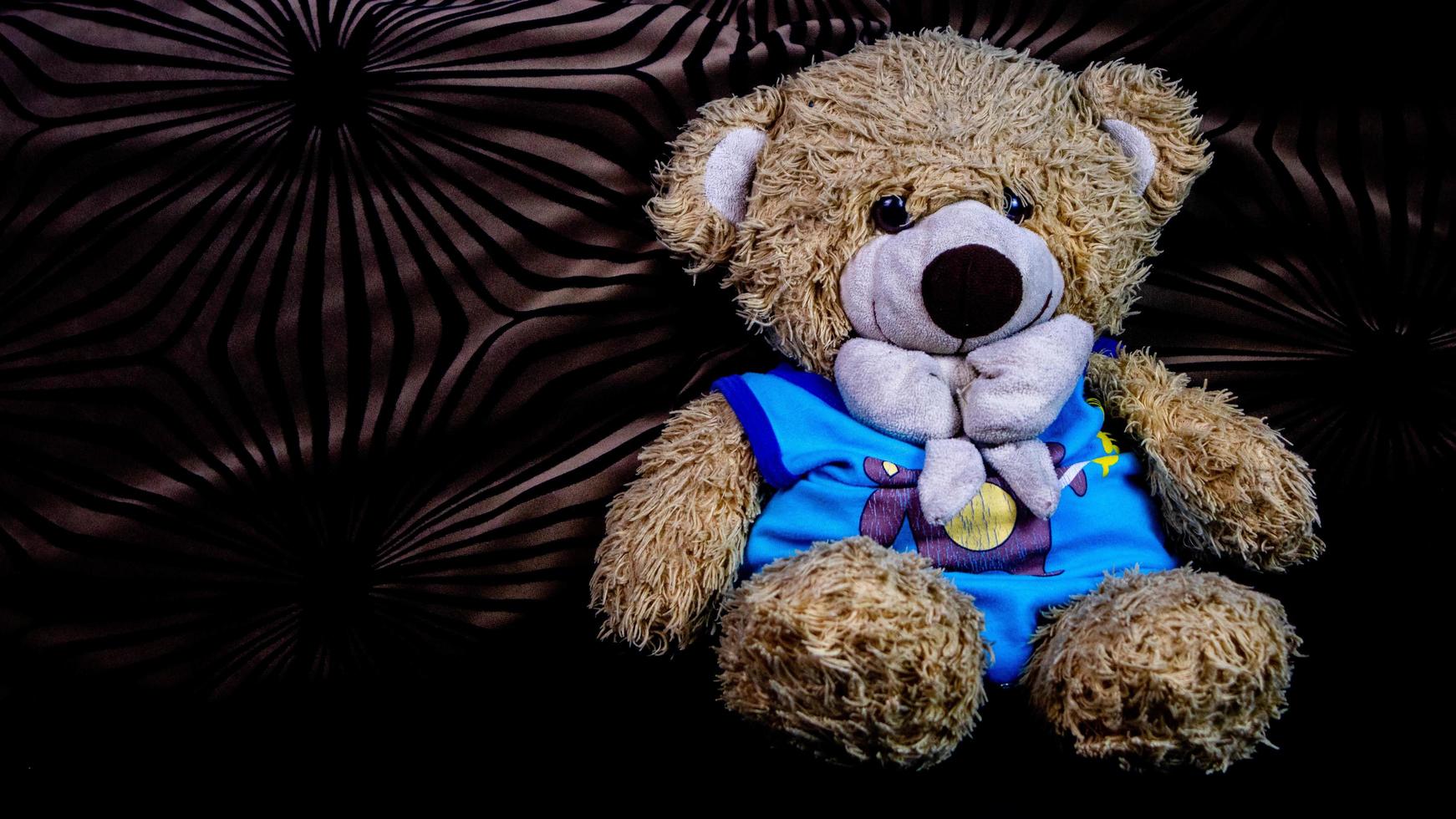 teddy bear in a blue t-shirt on a black sofa photo