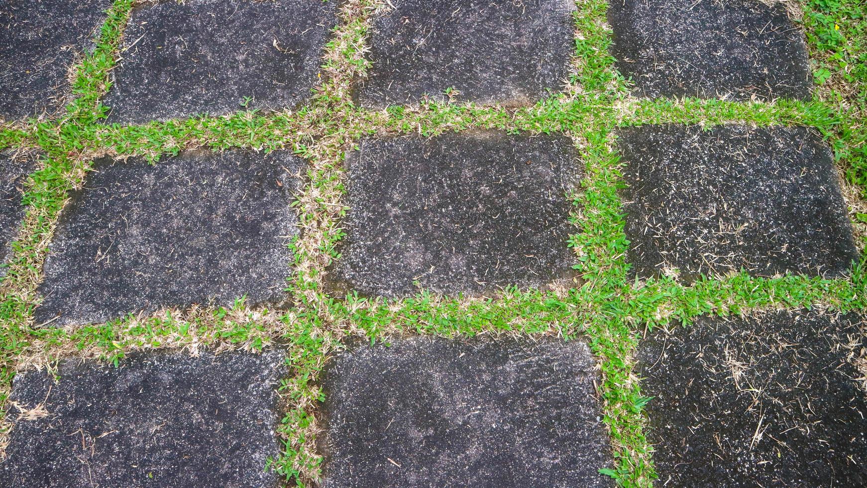 concrete block driveway with green grass in between. as background photo