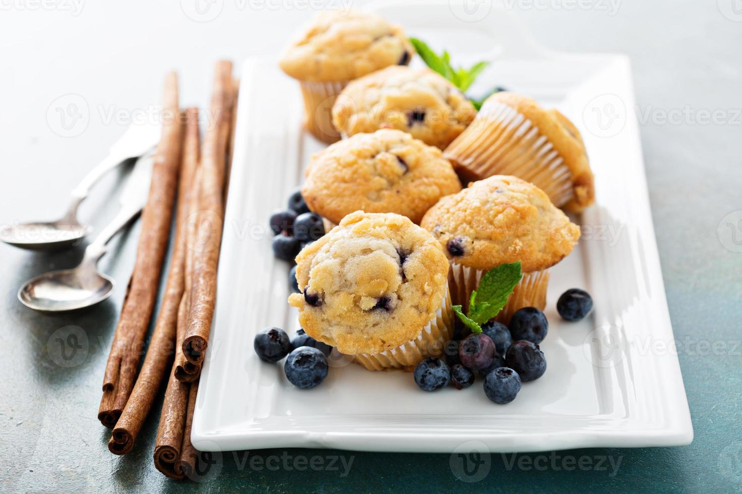 Blueberry muffins on a plate photo