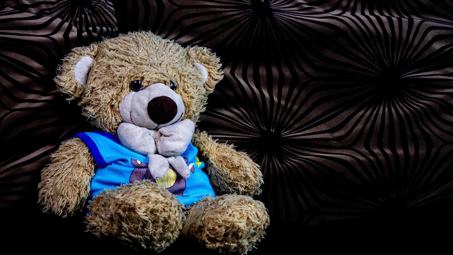 teddy bear in a blue t-shirt on a black sofa photo