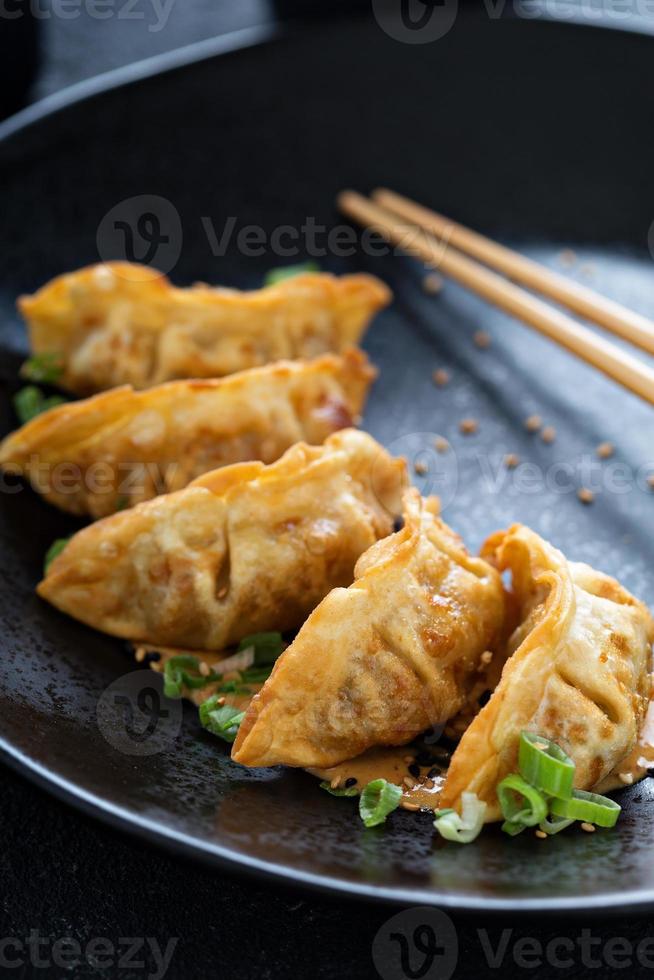 Fried potstickers with green onions 15746667 Stock Photo at Vecteezy